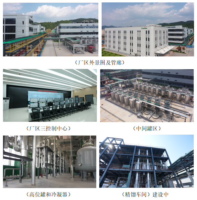 xc sports(中国区)-官方网站