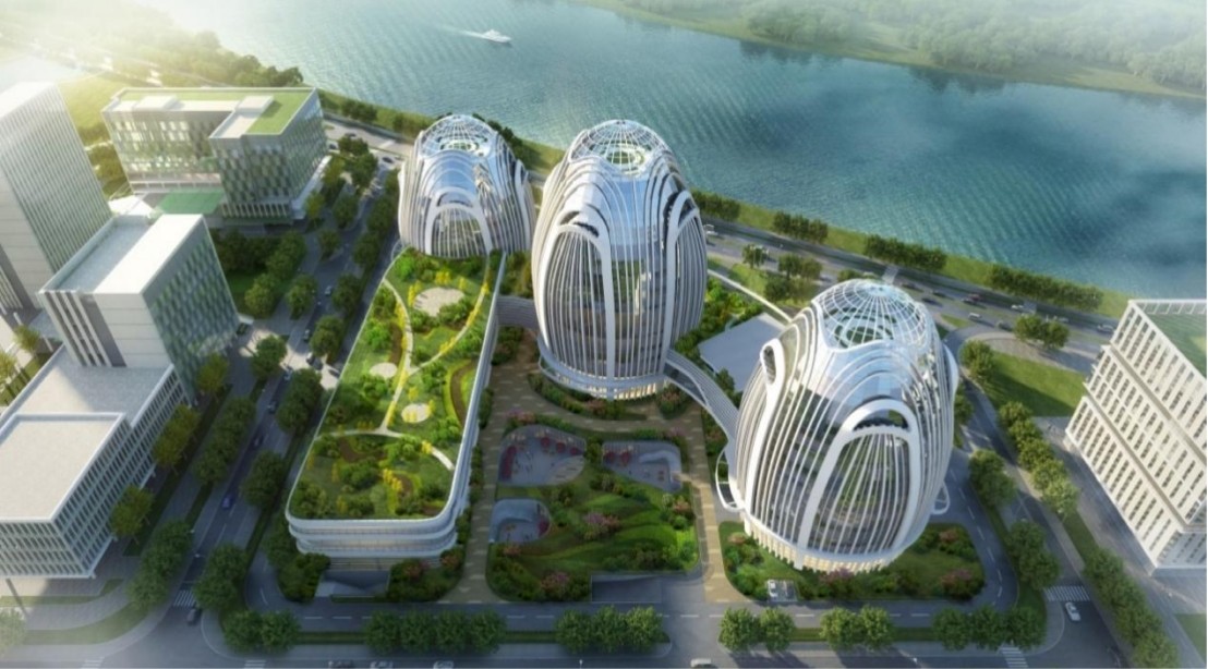 xc sports(中国区)-官方网站