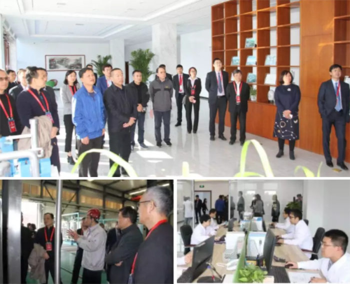 xc sports(中国区)-官方网站