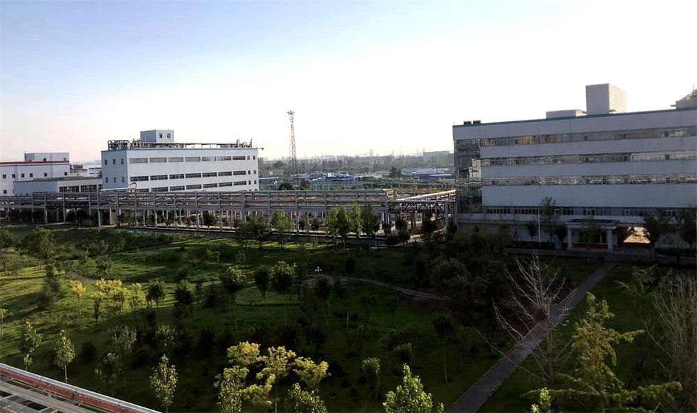 xc sports(中国区)-官方网站