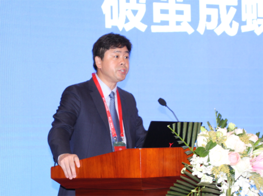 xc sports(中国区)-官方网站