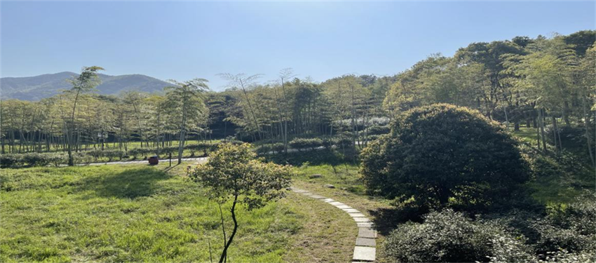 xc sports(中国区)-官方网站